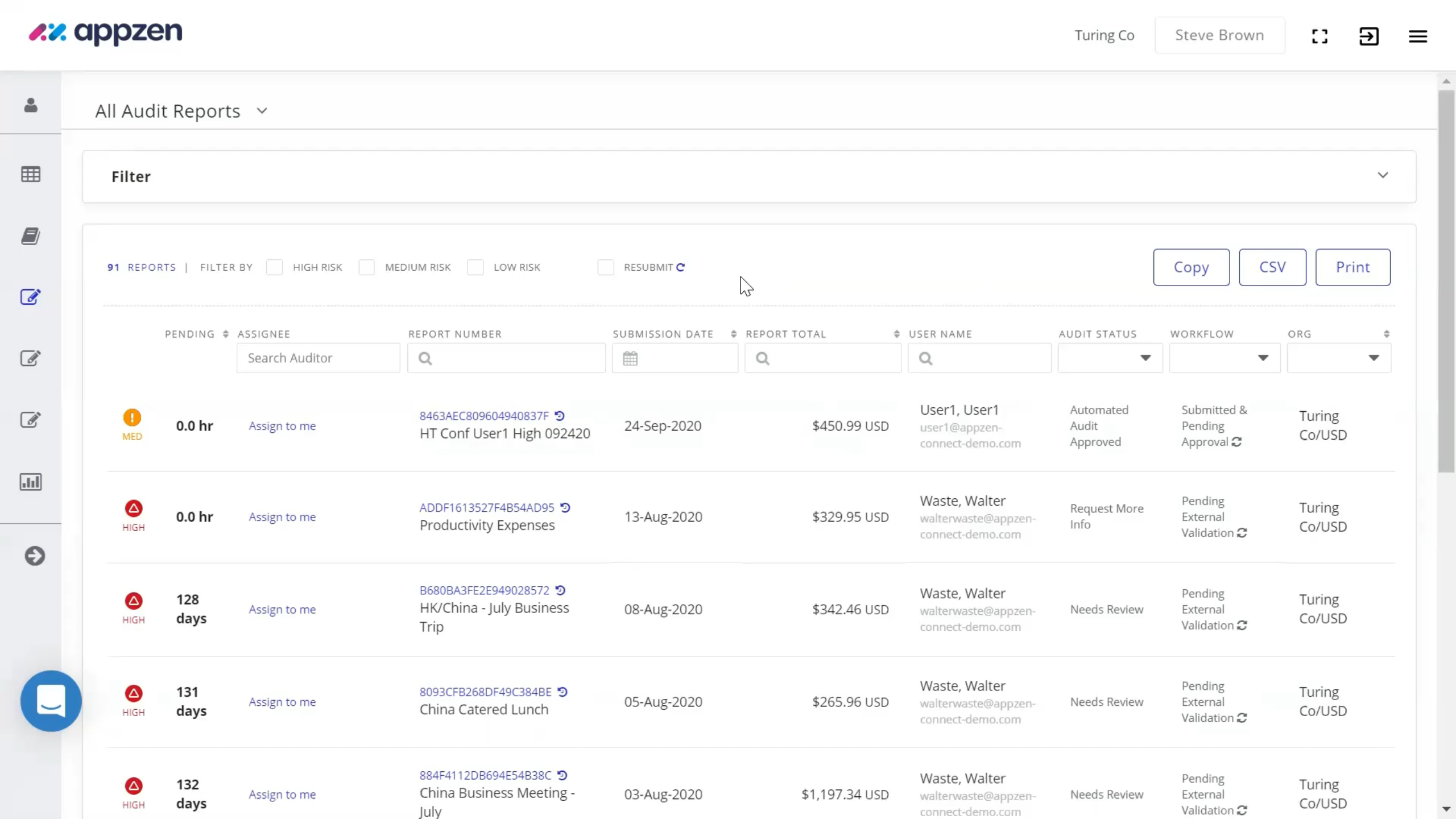 screenshot of Expense Audit